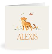 Geboortekaartje naam Alexis u2