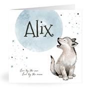 Geboortekaartje naam Alix j4
