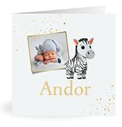 Geboortekaartje naam Andor j2