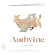 Geboortekaartje naam Audwine j1