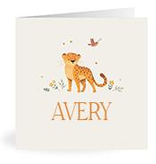 Geboortekaartje naam Avery u2