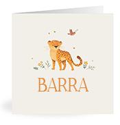 Geboortekaartje naam Barra u2