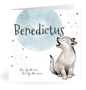 Geboortekaartje naam Benedictus j4