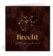 Geboortekaartje naam Brecht u3