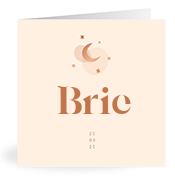 Geboortekaartje naam Brie m1