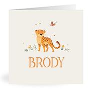 Geboortekaartje naam Brody u2