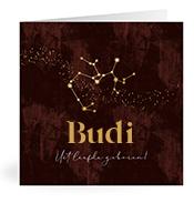 Geboortekaartje naam Budi u3