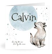 Geboortekaartje naam Calvin j4