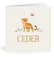 Geboortekaartje naam Ceder u2