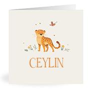 Geboortekaartje naam Ceylin u2