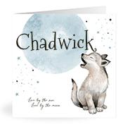 Geboortekaartje naam Chadwick j4