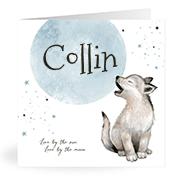 Geboortekaartje naam Collin j4