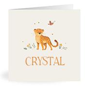 Geboortekaartje naam Crystal u2