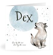 Geboortekaartje naam Dex j4