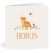 Geboortekaartje naam Horus u2