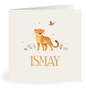 Geboortekaartje naam Ismay u2