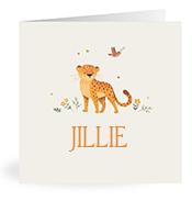 Geboortekaartje naam Jillie u2