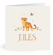 Geboortekaartje naam Jules u2