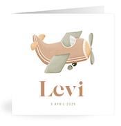 Geboortekaartje naam Levi j1