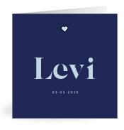 Geboortekaartje naam Levi j3