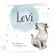 Geboortekaartje naam Levi j4
