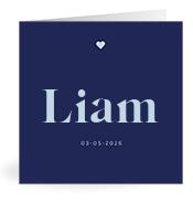Geboortekaartje naam Liam j3
