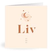 Geboortekaartje naam Liv m1