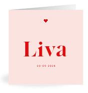Geboortekaartje naam Liva m3