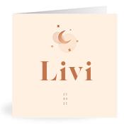Geboortekaartje naam Livi m1