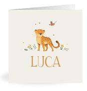 Geboortekaartje naam Luca u2