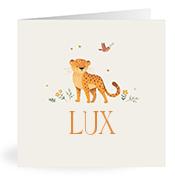 Geboortekaartje naam Lux u2