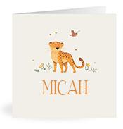 Geboortekaartje naam Micah u2