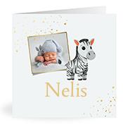 Geboortekaartje naam Nelis j2