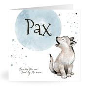 Geboortekaartje naam Pax j4