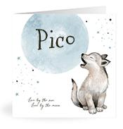 Geboortekaartje naam Pico j4