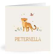 Geboortekaartje naam Pieternella u2