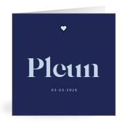 Geboortekaartje naam Pleun j3
