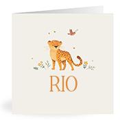 Geboortekaartje naam Rio u2