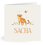 Geboortekaartje naam Sacha u2