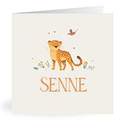 Geboortekaartje naam Senne u2