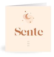 Geboortekaartje naam Sente m1