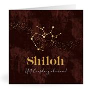 Geboortekaartje naam Shiloh u3