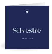 Geboortekaartje naam Silvestre j3