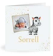 Geboortekaartje naam Sorrell j2
