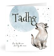 Geboortekaartje naam Tadhg j4