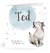 Geboortekaartje naam Ted j4