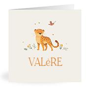 Geboortekaartje naam Valère u2