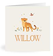 Geboortekaartje naam Willow u2