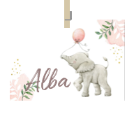 Geboortekaartje naam Alba m2