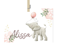 Geboortekaartje naam Alissa m2